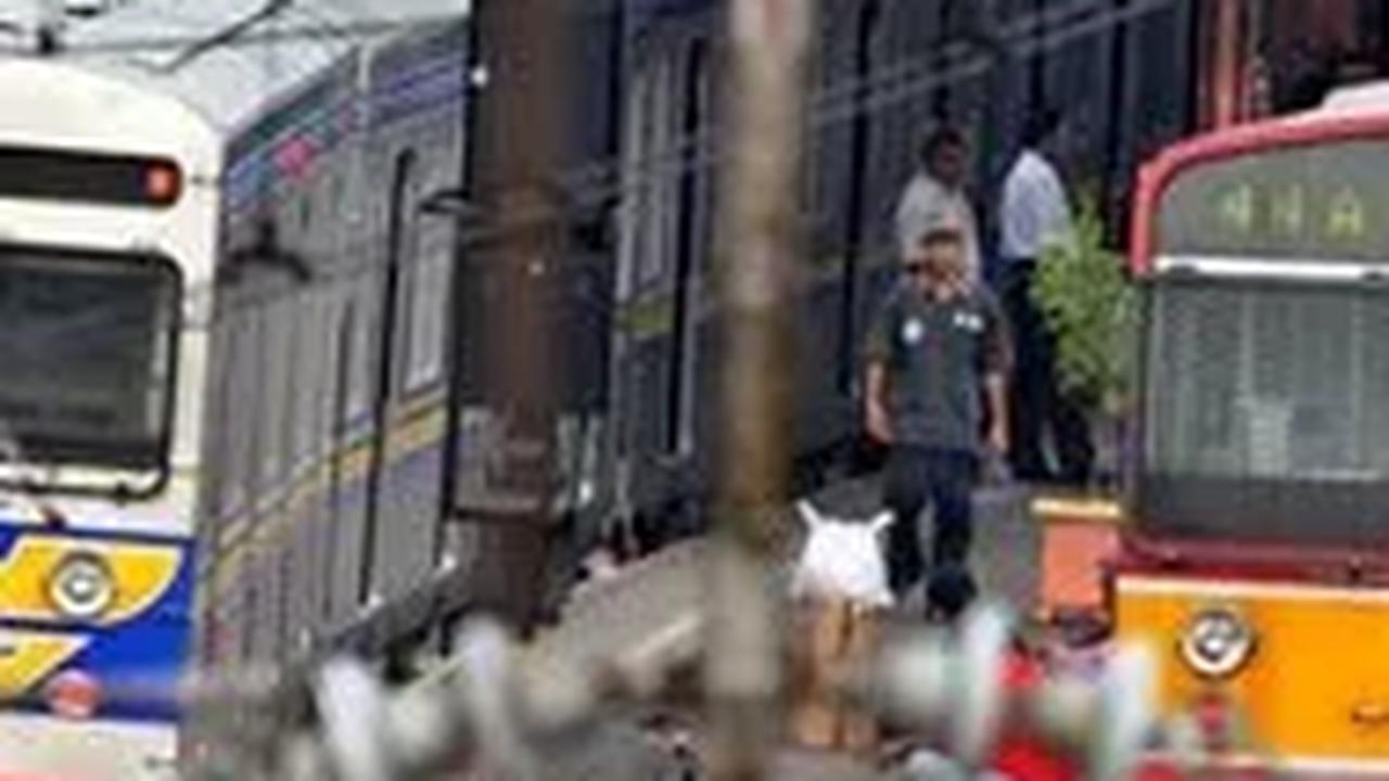 Viral Video Pria Tiba-Tiba Bunuh Diri Tiduran di Rel saat KRL Lewat di Senen