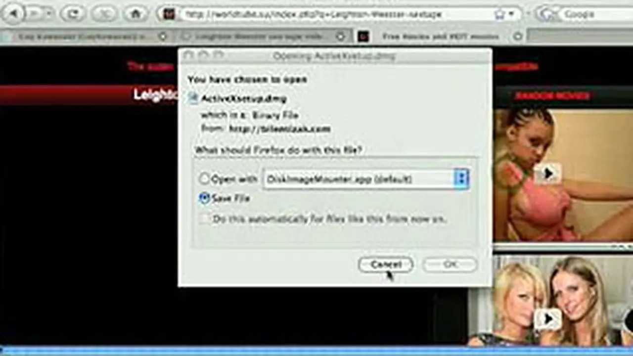 100417btek_virusporn.jpg
