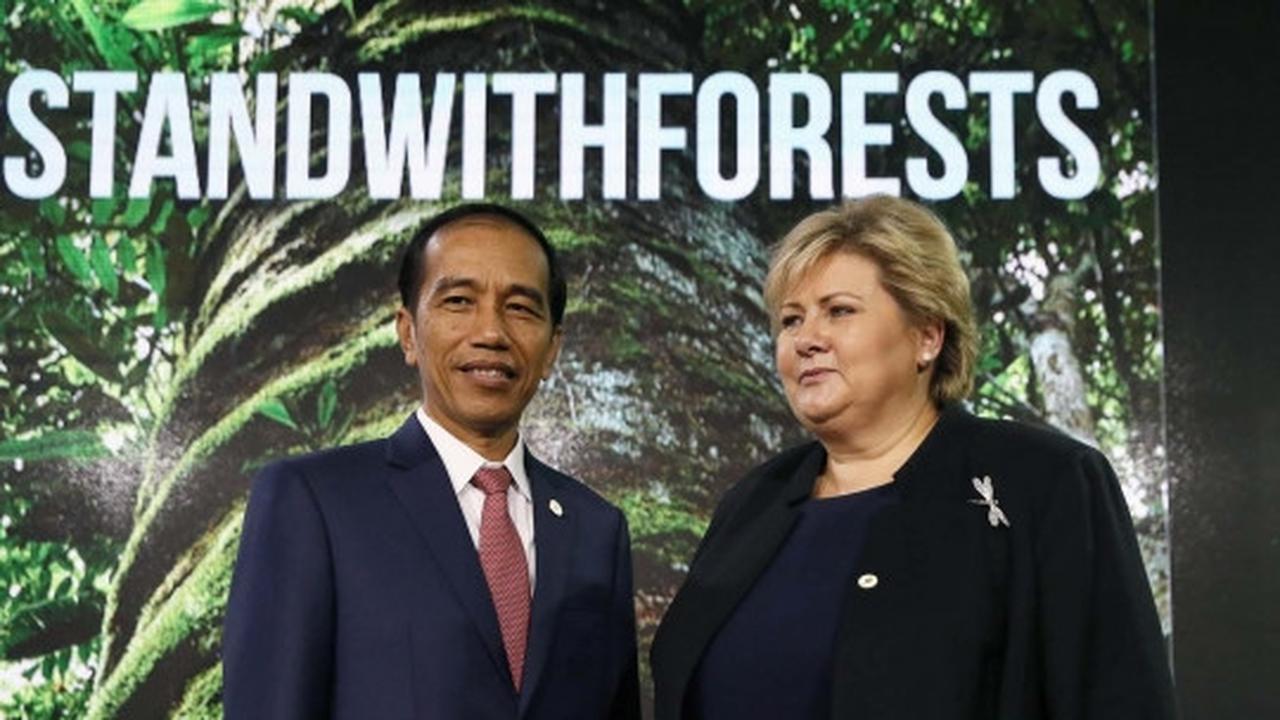 Gaya Jokowi saat pidato di pembukaan KTT Perubahan Iklim