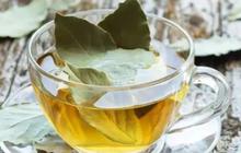 4 Jenis Daun Herbal yang Efektif Menurunkan Darah Tinggi, Mudah Ditanam di Halaman Rumah Anda