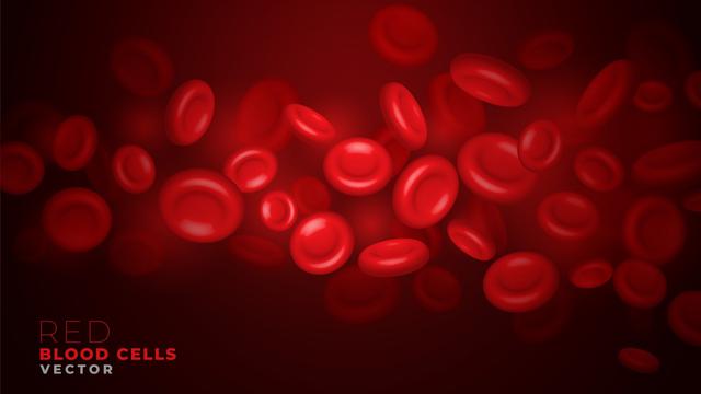 Ilustrasi sel darah merah