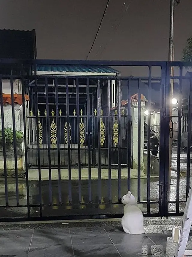 6 Potret Kucing Lihat Hujan Ini Bak 'Anak Senja', Bikin Gemas