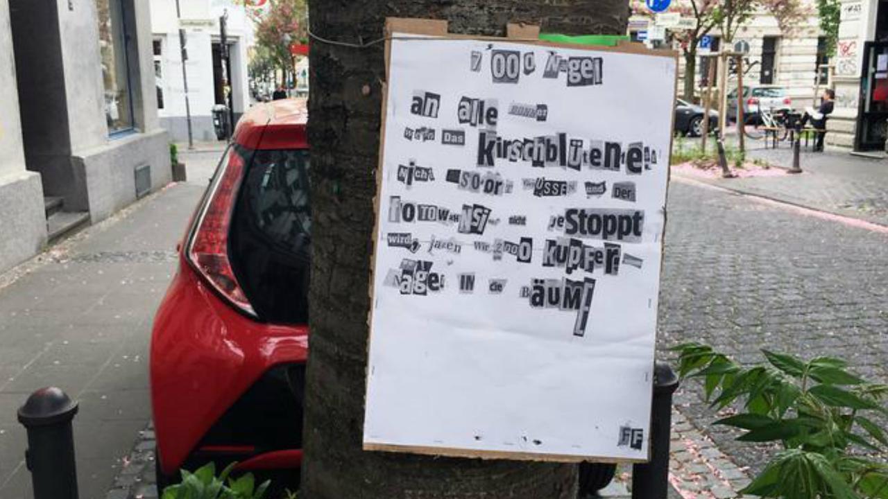 Poster misterius yang dipaku di pohon sakura di Kota Bonn, Jerman. (DW)