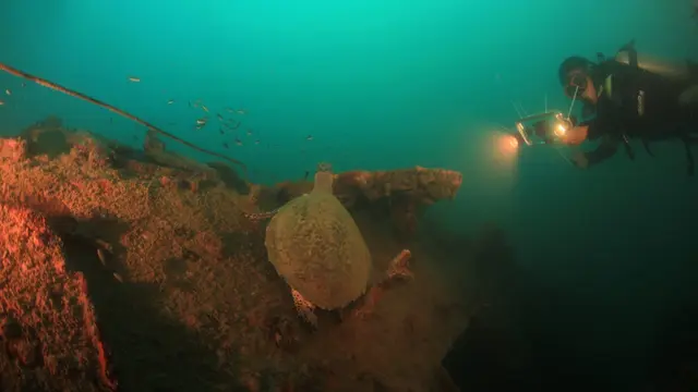 KKP mengabadikan keindahan bawah laut perairan Mandeh di Kabupaten Pesisir Selatan, Sumatera Barat, melalui turnamen fotografi dan videografi bawah laut. (Dok KKP)