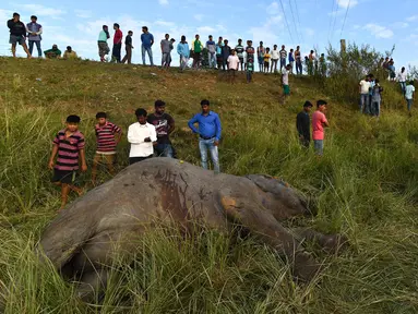 Warga berkumpul melihat dua ekor gajah yang tewas ditabrak kereta api di dekat Stasiun Thakurkhchi di pinggiran kota Guwahati, India, Minggu (19/11). Dua gajah ini bagian dari gerombolan gajah yang sedang melintas di jalur rel kereta. (Biju BORO/AFP)