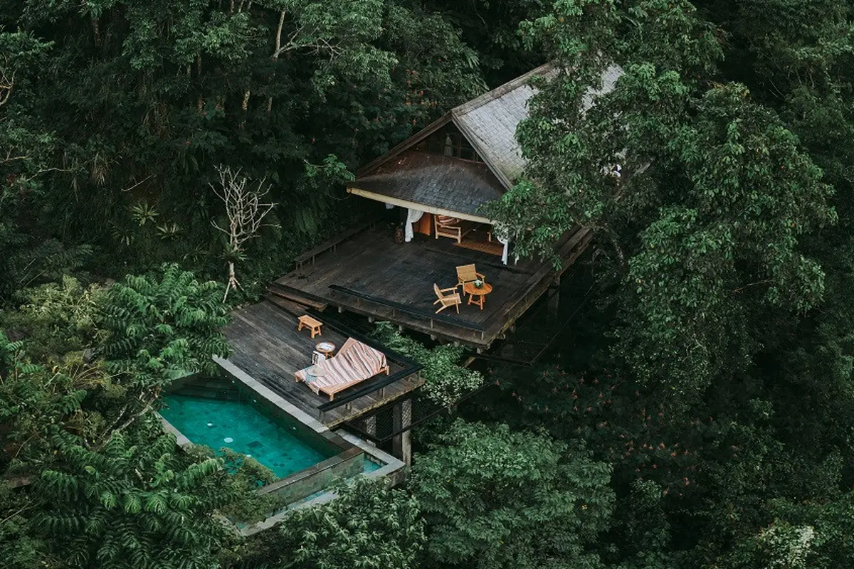 Banyan Tree Escape