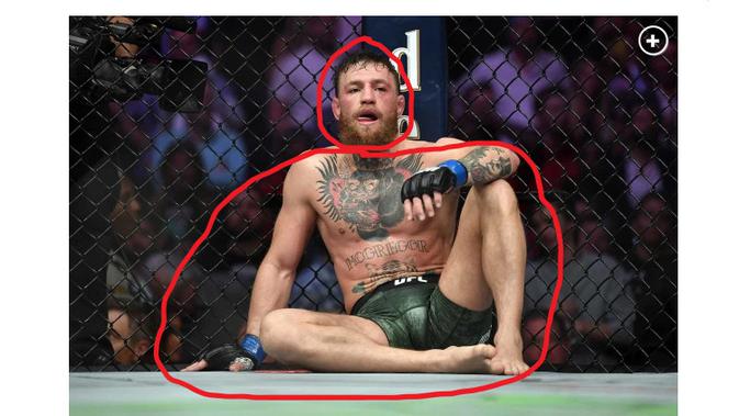 Cek Fakta Liputan6.com menelusuri klaim foto petarung MMA Conor McGregor jadi gembel