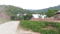 Kampung Gane Halmahera masih berkonflik isu kelapa sawit (Liputan6.com / Hairil Hiar)