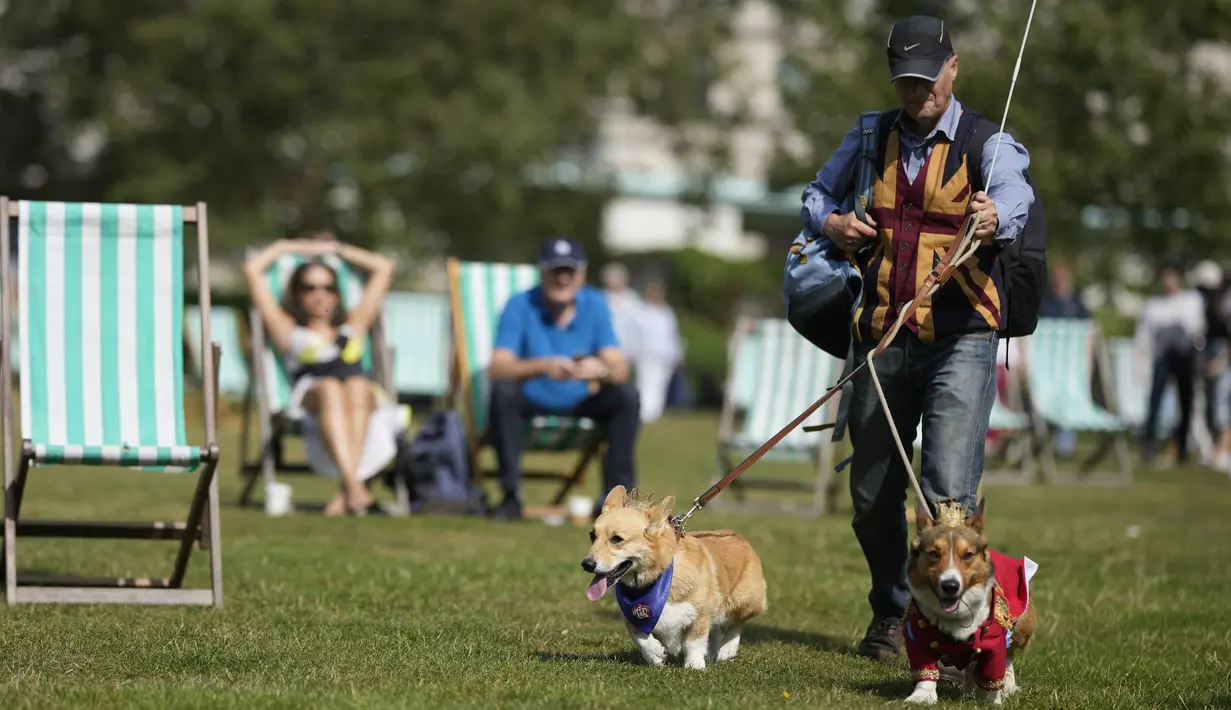 Sekitar 20 penggemar corgi mendandani hewan peliharaan mereka dengan mahkota, tiara, dan pakaian kerajaan, lalu mengaraknya di luar istana di pusat kota London pada hari Minggu (3/9) untuk memberi penghormatan kepada Elizabeth, seorang pencinta anjing jenis ini. (AP Photo/Alastair Grant)