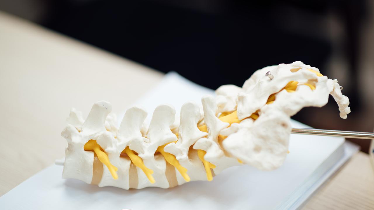 Ilustrasi Tulang Belakang.