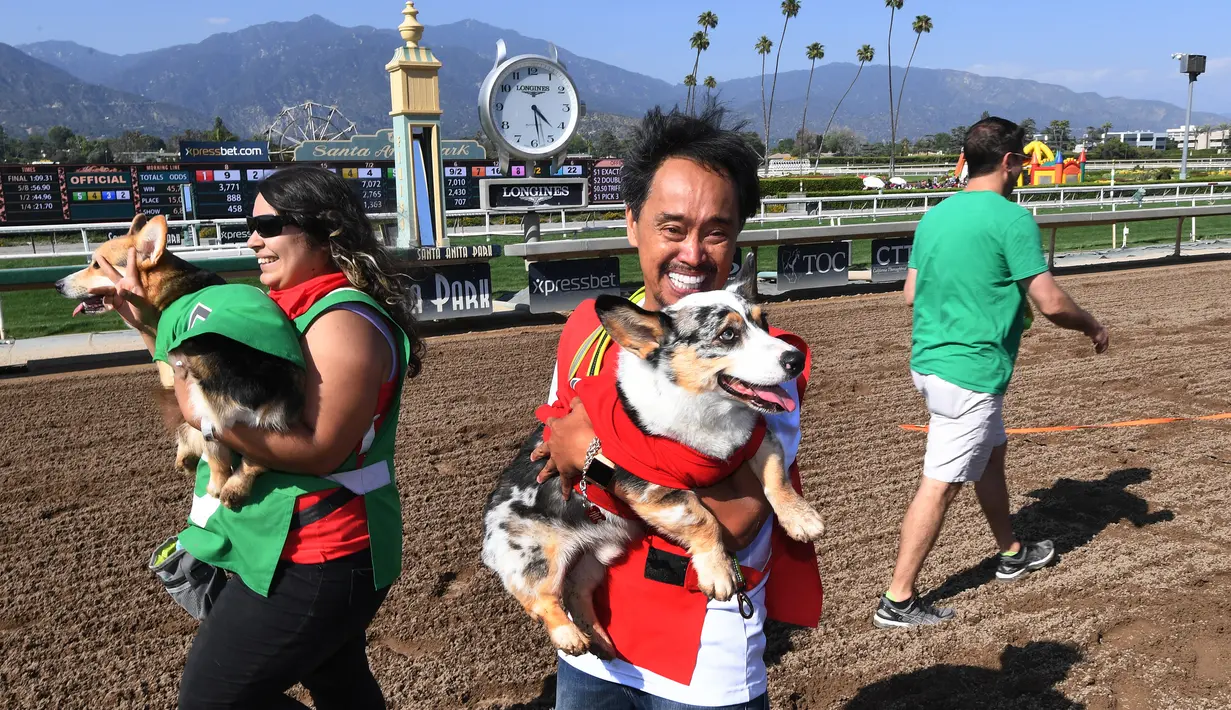 Rick Garcia bersama anjingnya 'Roi' keluar sebagai juara dalam kejuaraan "Corgi Nationals" California Selatan di Arena Balap Santa Anita di Arcadia pada 26 Mei 2019. Ratusan anjing corgi yang mengikuti kejuaraan ini memperebutkan gelar anjing tercepat. (Photo by Mark RALSTON / AFP)