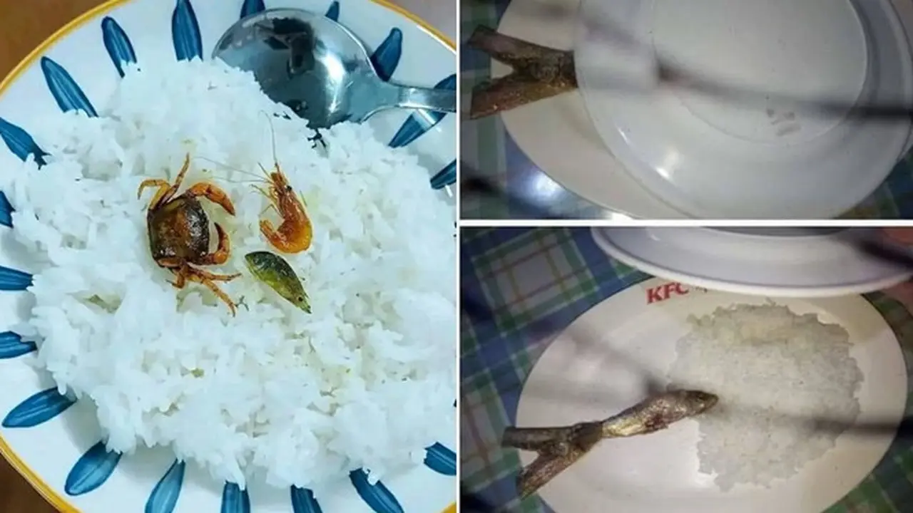 6 Potret Makan Irit Pakai Seafood Ini Bikin Tepuk Jidat