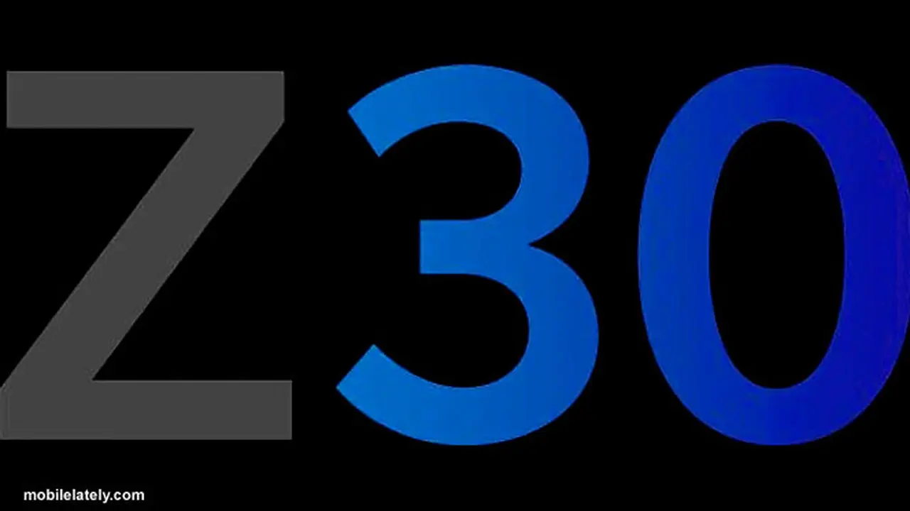 z30-130805b.jpg