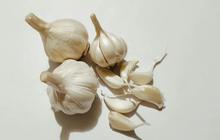 Cara Menanam Bawang Putih ala Rumahan Sisa Dapur, Berkebun Praktis Hasilkan Panen Optimal