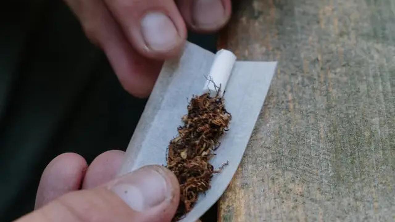 Wacana Rokok Tanpa Merek, Sejumlah Kepala Daerah Soroti Dampak pada Industri Hasil Tembakau