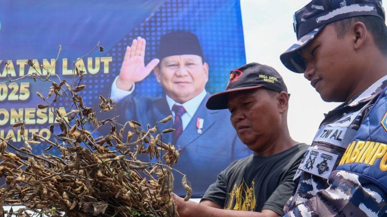 TNI AL Tanam Kedelai Serentak, Perkuat Ketahanan Pangan Nasional