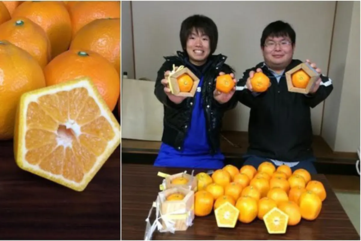 Photo copyright en.rocketnews24.com