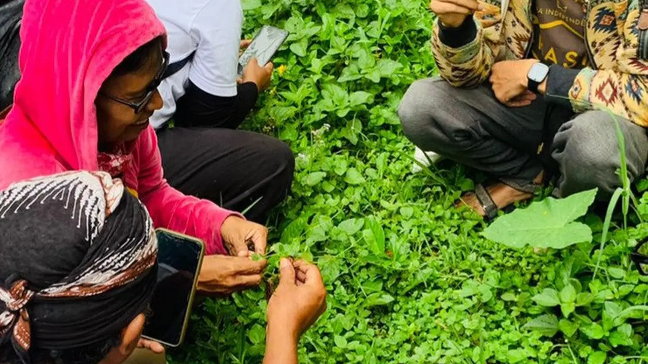 Tanaman Obat