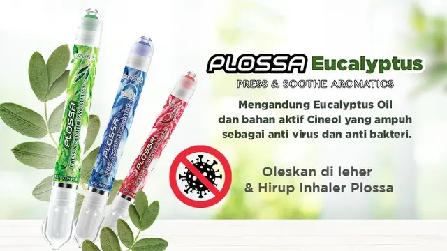 Kandungan Alami Plossa Eucalyptus dapat Mencegah Virus Corona