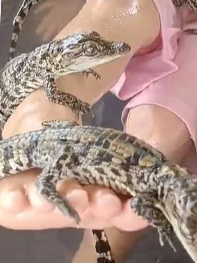 Balita Rebahan Bareng Buaya