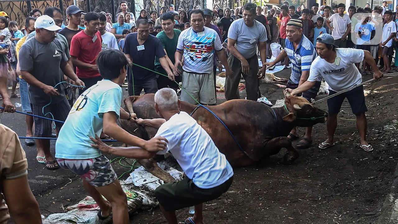 Umat Muslim Laksanakan Pemotongan Hewan Kurban