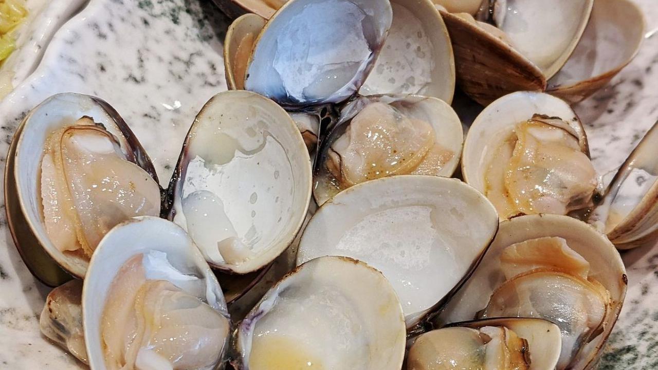 4. Kerang Tiram