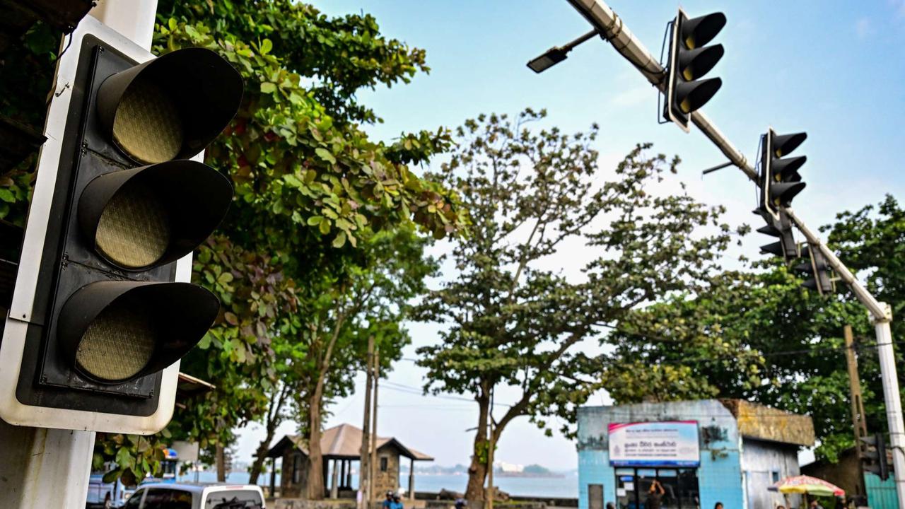 Sri Lanka Dihantam Pemadaman Listrik Satu Negara Gara-Gara Monyet