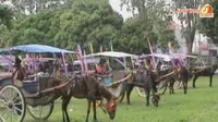 [VIDEO] Puluhan Kusir Kampanye Transportasi Dokar