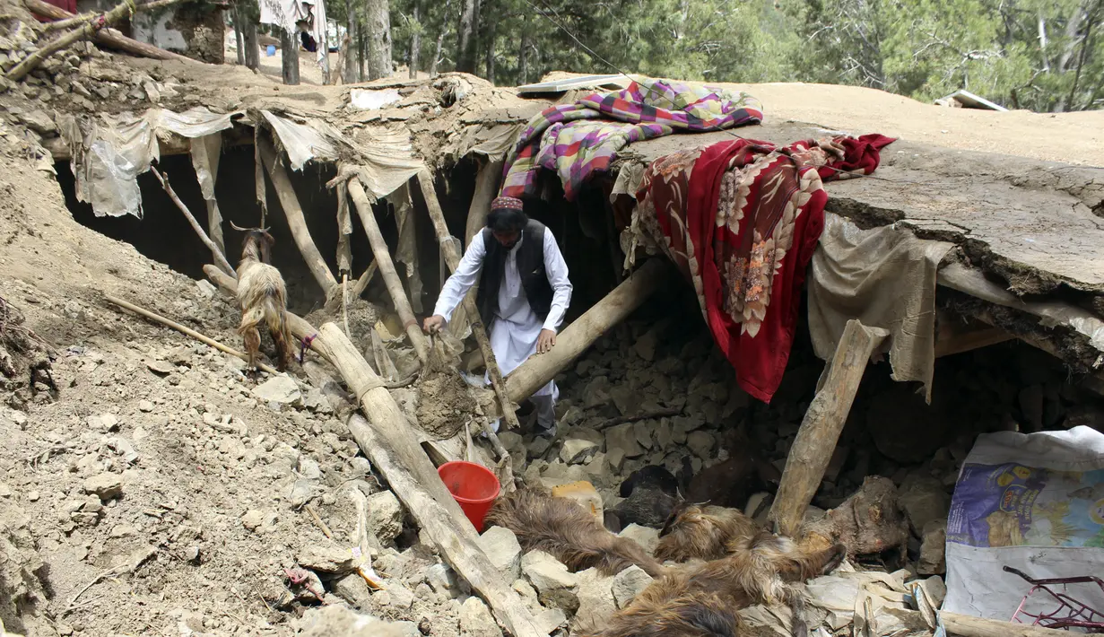 Seorang penduduk desa mengumpulkan barang-barangnya dari bawah puing-puing rumahnya yang hancur dalam gempa bumi di Distrik Spera, bagian barat daya Provinsi Khost, Afghanistan, 22 Juni 2022. Ini merupakan salah satu gempa paling mematikan di Afghanistan dalam beberapa dasawarsa. (AP Photo)