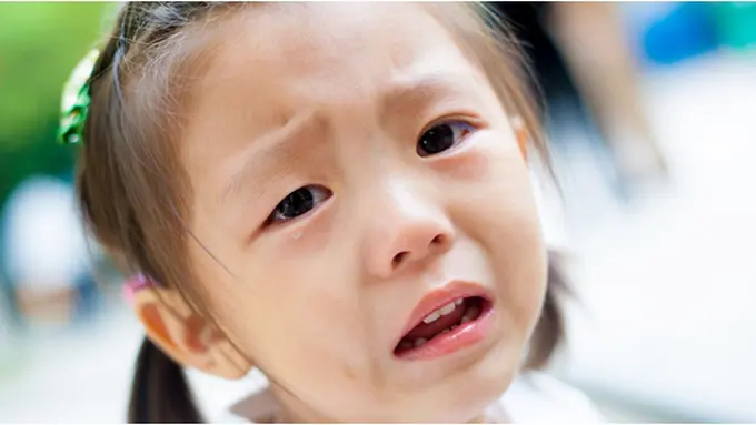 (c) shutterstock.com