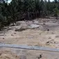 Foto udara pascatsunami yang menghantam Mentawai, di Dusun Muntei Barubaru, Mentawai, Rabu (27/10). Lebih dari 15 dusun di pulau itu hancur terkena gelombang tsunami pada 25 Oktober silam.(Antara)