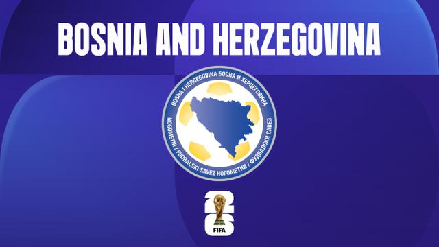 Bosnia-Herzegovina, Profil Tim Piala Dunia 2026