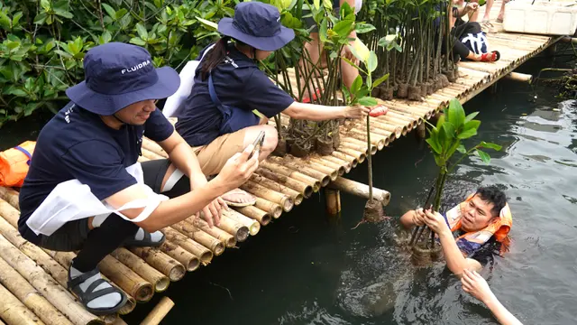 Menjaga Eksosistem Laut dengan Menanam Mangrove Jadi Langkah Kecil yang Berdampak Besar bagi Pesisir
