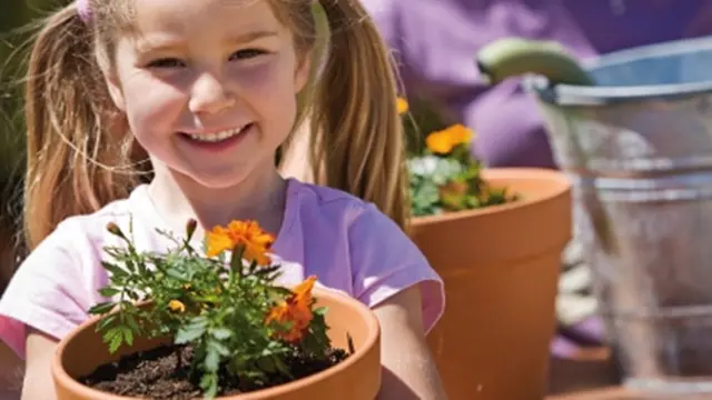 Foto: Copyright Shutterstock.com