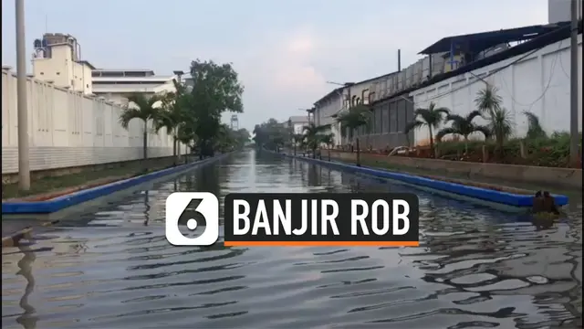VIDEO: Banjir Rob Menggenangi Kawasan Muara Baru