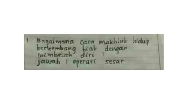 4 Jawaban Siswa SD Ini Bikin Kita Gagal Paham
