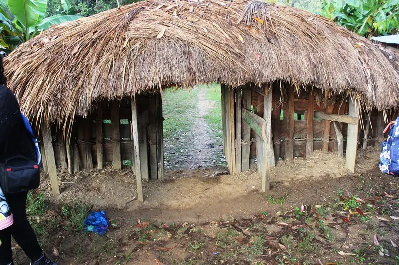 Pintu gerbang masuk ke honai perempuan.  (Foto: Liputan6.com/Fitri Haryanti Harsono)