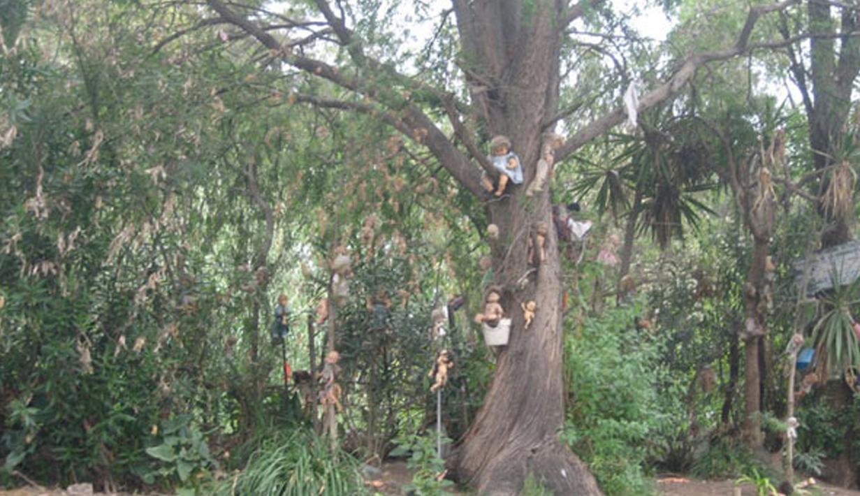 Isla de La Munecas dalam bahasa meksiko berarti pulau boneka. Sesuai namanya, di pulau ini banyak boneka-boneka yang sangat menyeramkan dalam kondisi termutilasi digantungkan di pepohonan, Meksiko, Jumat (14/11/2015). (Reuters)