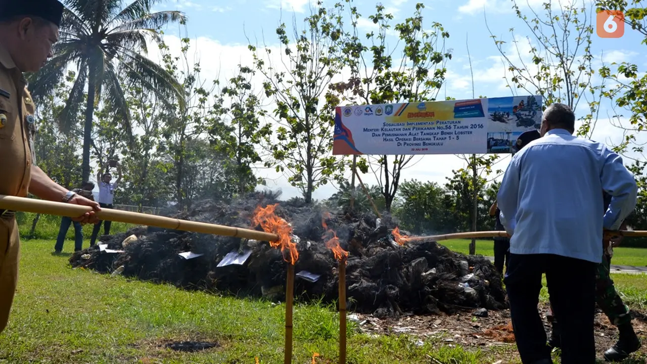 Ribuan Jaring Penangkap Benih Lobster Dimusnahkan Di Bengkulu
