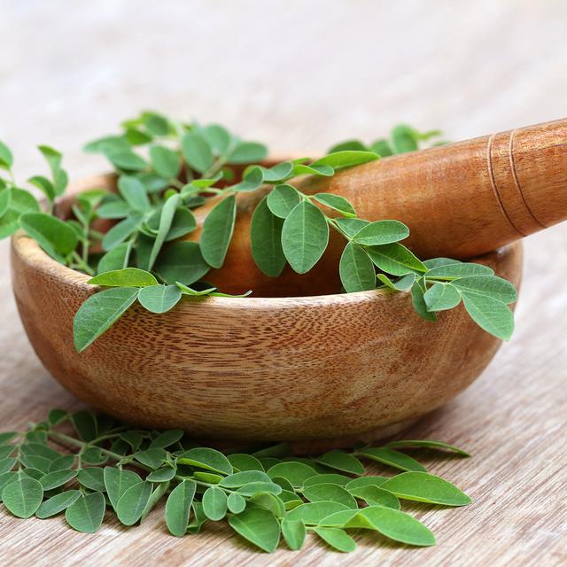 6 Cara Mengolah Daun Kelor Untuk Dapatkan Khasiatnya Hot Liputan6 Com