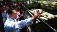 Kepala Badan Narkotika Nasional (BNN) Komisaris Jenderal Budi Waseso atau Buwas mewacanakan untuk penempatan 2 buaya di penjara yang menampung bandar narkoba. Lalu, di mana reptil buas itu akan ditempatkan?