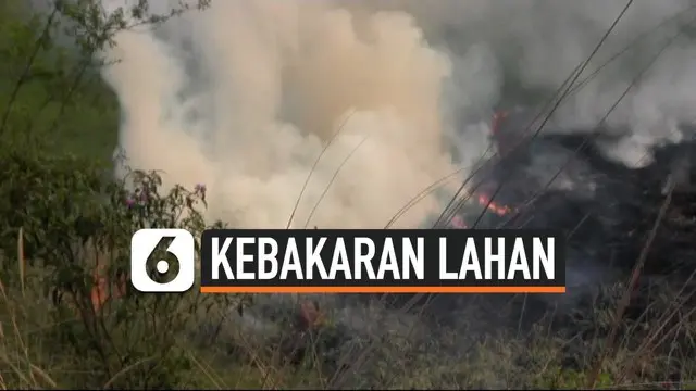 Kebakaran lahan di Banyuasin, Sumatera Selatan terus terjadi. Diperkirakan puluhan hektar lahan terbakar akibat kencangnya angin membawa api.
