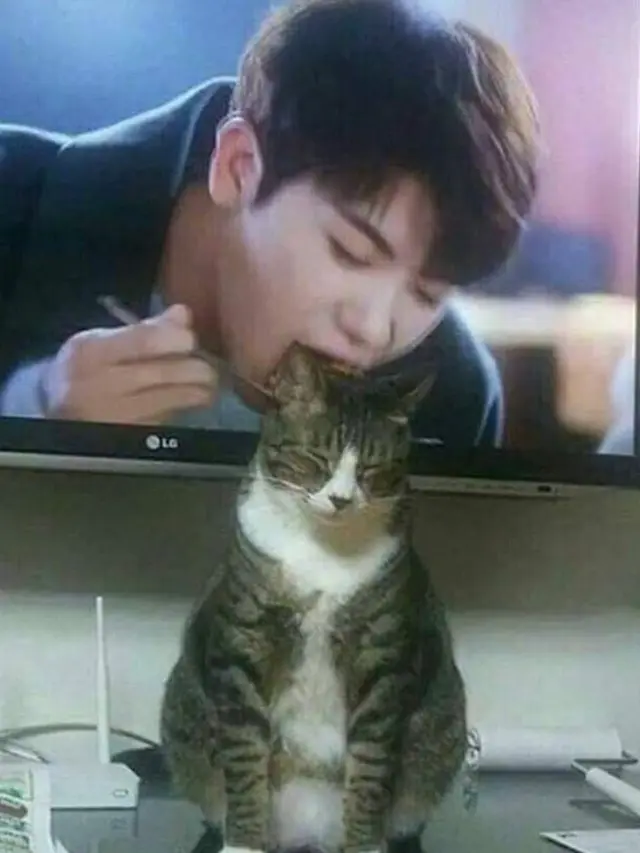 7 Potret Lucu Kucing Lagi Main dengan Benda Sekitar