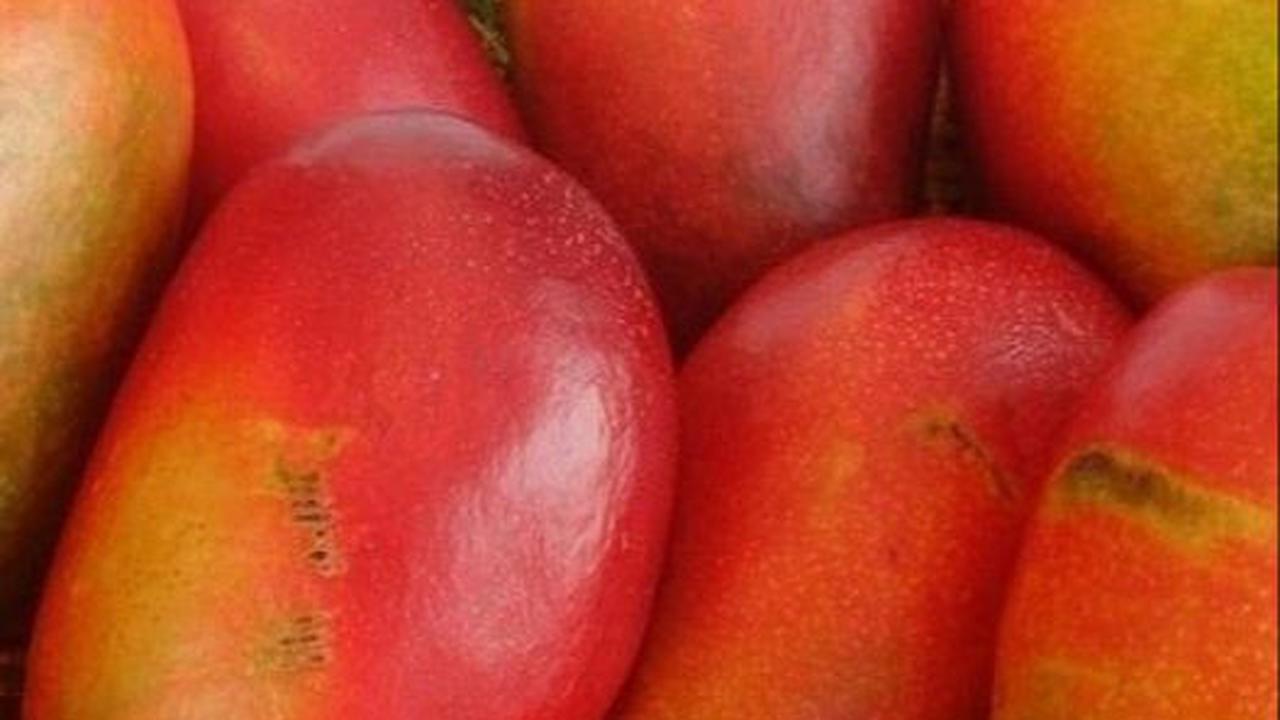 Favorit Orang Luar Negeri