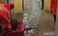 Banjir Kali Cijayanti Bogor Rendam Ratusan Rumah, BPBD Turun Tangan