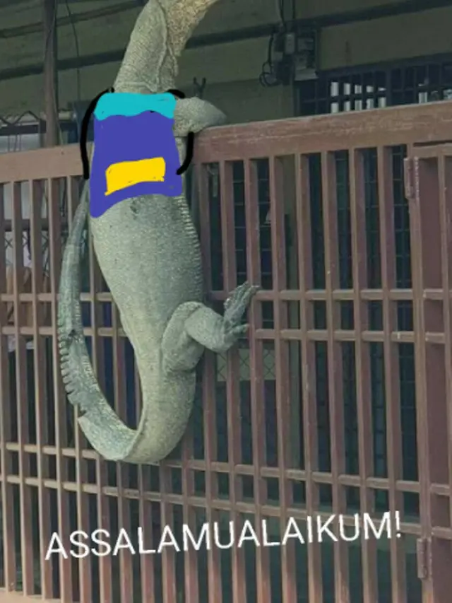 8 Meme Kocak Biawak Raksasa Memanjat Pagar Rumah