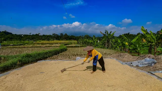 Awal April 2026, Serapan Beras Bulog Tembus 1,7 Juta Ton