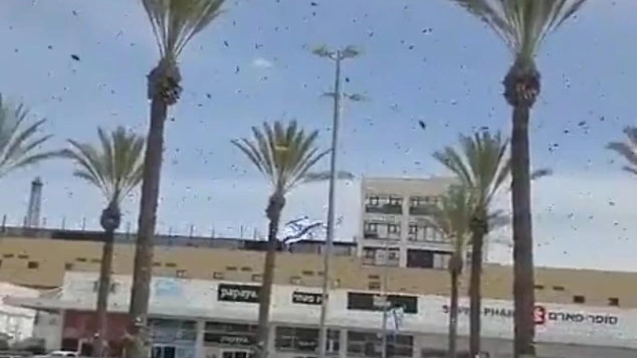 Ribuan Lebah Penuhi Langit Tel Aviv, Picu Kekhawatiran Pertanda Buruk Seperti di Alkitab