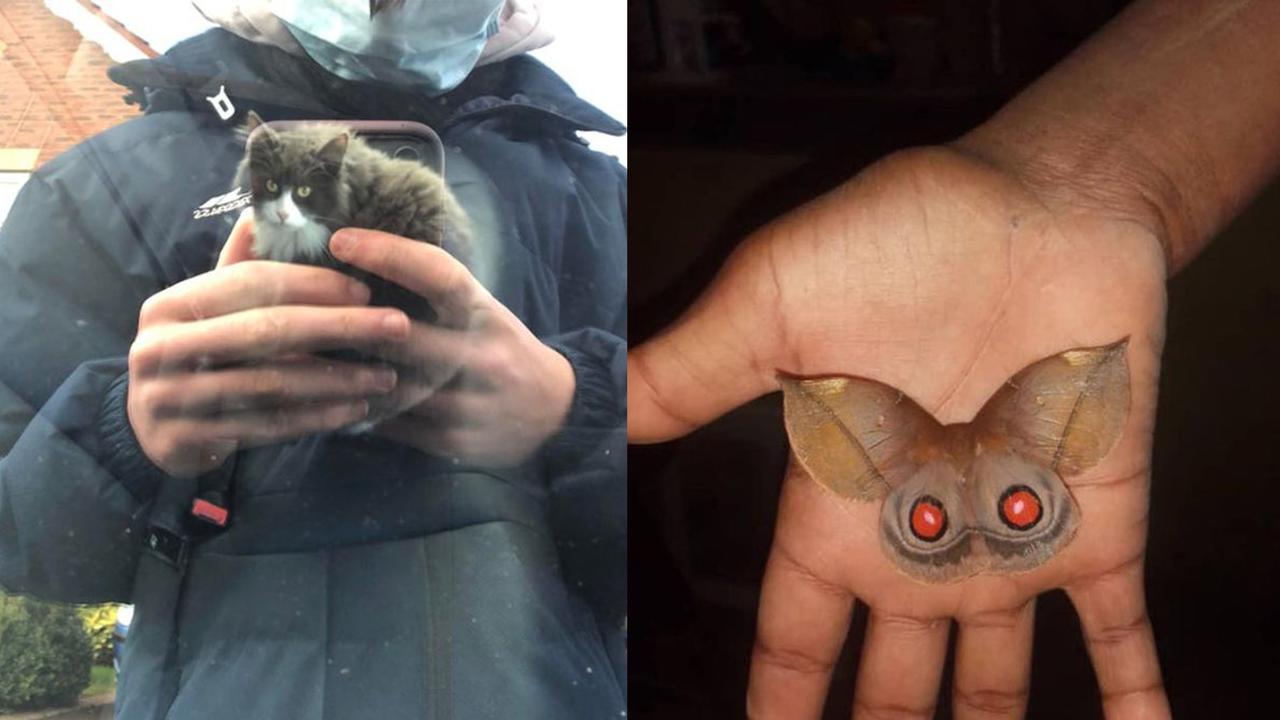 10 Foto Mengecoh Mata Ini Bikin Harus Lihat Dua Kali