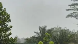 Kabut Asap Kebakaran Hutan Masih Hantui Desa Limbung Kalbar